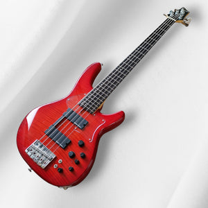 Fujigen Expert Director 5 Electric Bass 2012 Flame Maple and Ebony