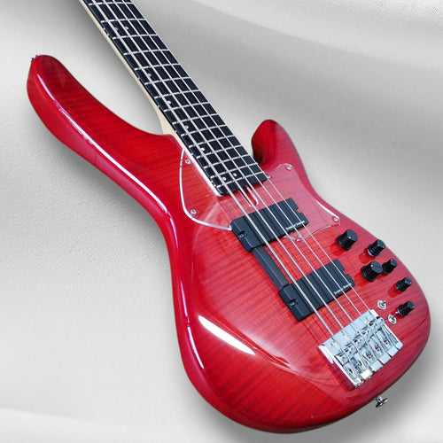 Fujigen Expert Director 5 Electric Bass 2012 Flame Maple and Ebony