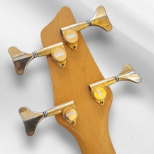 Washburn Kip Winger KW1250 early 90s
