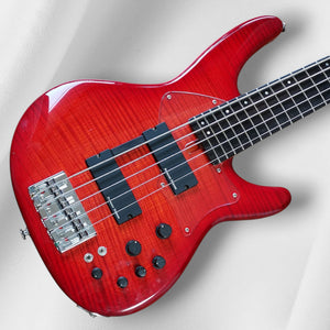 Fujigen Expert Director 5 Electric Bass 2012 Flame Maple and Ebony